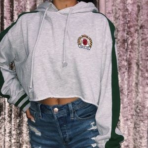 Pacsun trendy cropped hoodie